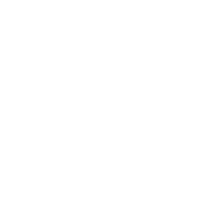 bingo